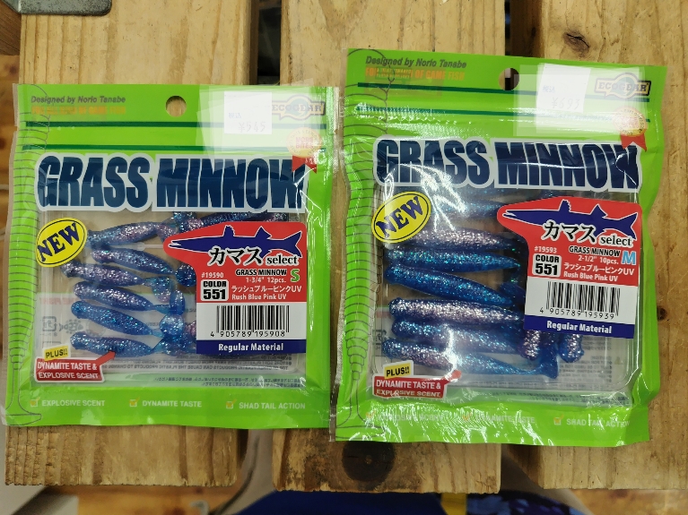 焼津流】今が旬！大人気カマスの釣り方ご案内！ | イシグロ焼津